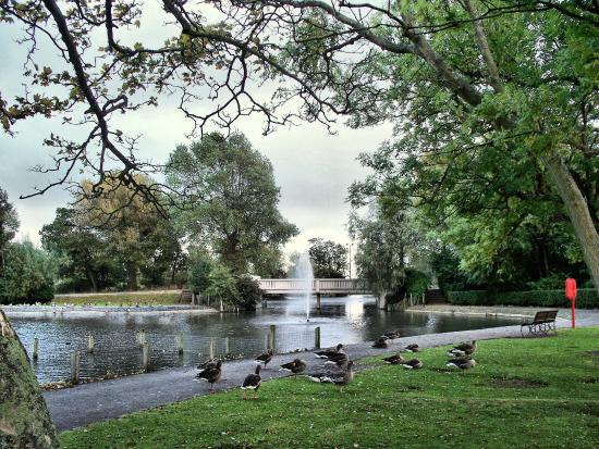 <span  class="uc_style_uc_tiles_grid_image_elementor_uc_items_attribute_title" style="color:#ffffff;">Boating Lake</span>
